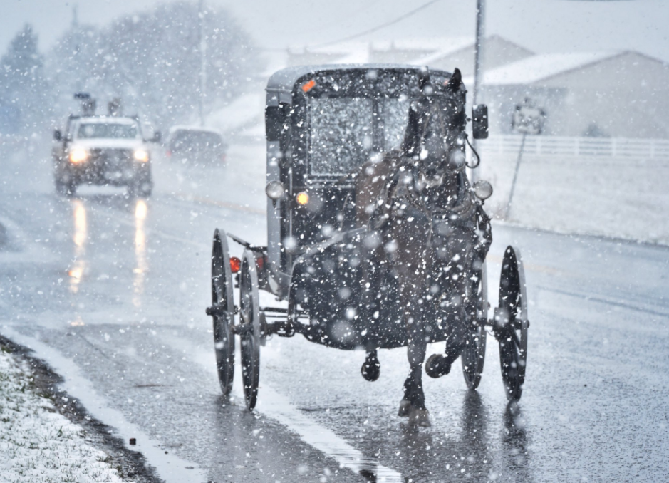 Snow buggy 030718